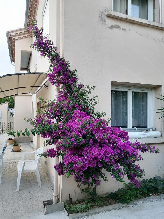 La Maison De 6Fran Appartement 2 Chaleureux Et Calme Ambiance Familiale Valros 外观 照片
