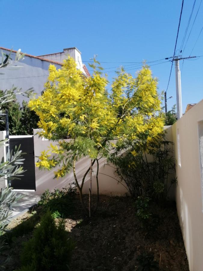 La Maison De 6Fran Appartement 2 Chaleureux Et Calme Ambiance Familiale Valros 外观 照片